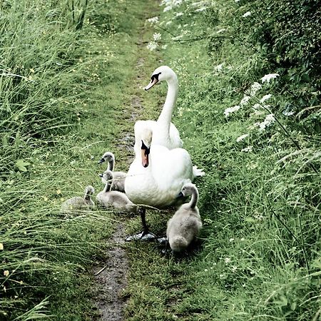 Duck Terrace With Gym Duckling Stays Kibworth Harcourt Exterior foto
